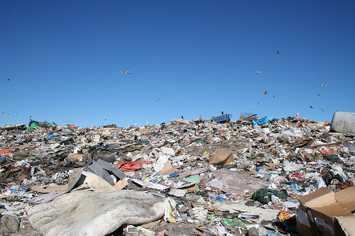 garbage Find Stock Tips Here? From D'Arcy Norman