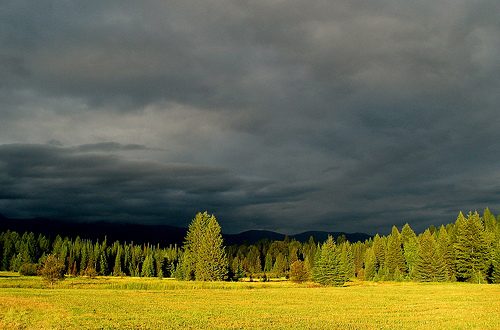montanastorm Another Type of Storm. From John Muir.