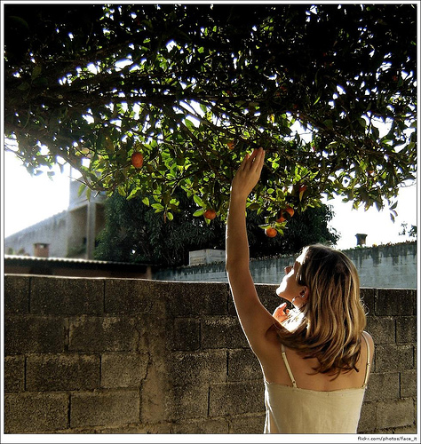 Picture of lady picking fruit