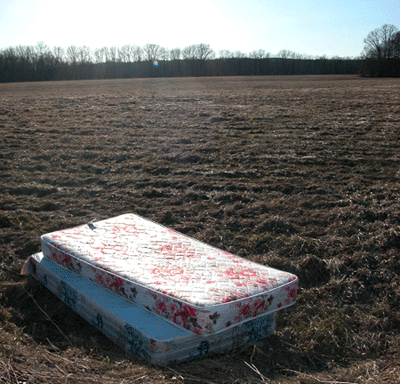 Define Savings with this Picture of a Box Spring and a Mattress in a field