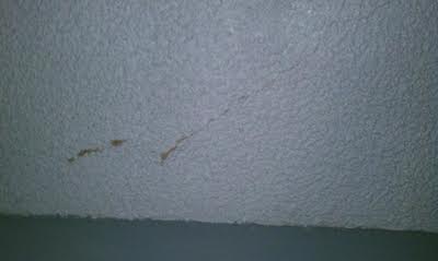 Crack in ceiling