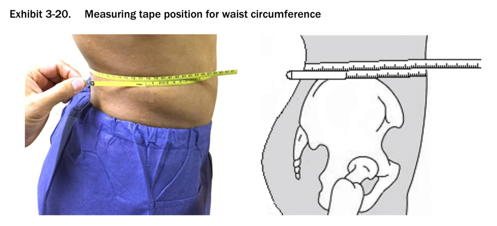 Waist measurement location for waist to height body fat percentage estimate