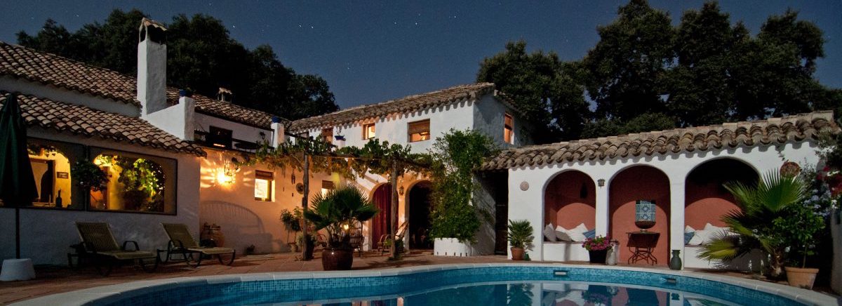 Mansion with swimming pool and lights and plants